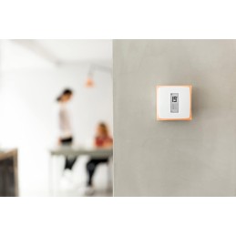 Netatmo NTH-ES-EC Termostato Wifi Inteligente para caldera individual