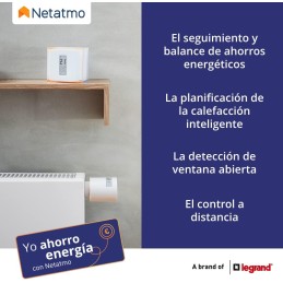 Netatmo NTH-ES-EC Termostato Wifi Inteligente para caldera individual