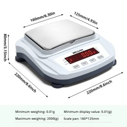 Balanza Electrónica Analítica de Alta Precisión